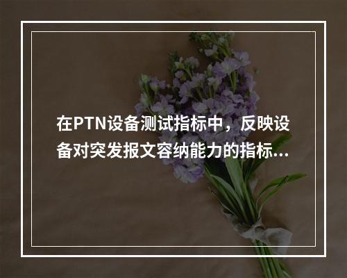 在PTN设备测试指标中，反映设备对突发报文容纳能力的指标是(