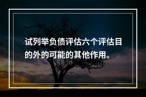 试列举负债评估六个评估目的外的可能的其他作用。