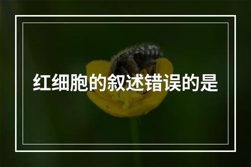 红细胞的叙述错误的是