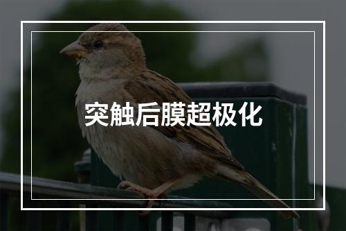 突触后膜超极化