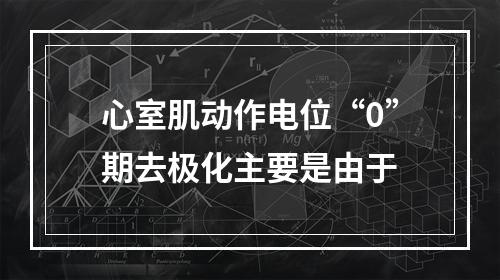 心室肌动作电位“0”期去极化主要是由于