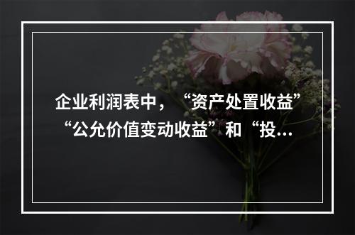 企业利润表中，“资产处置收益”“公允价值变动收益”和“投资收