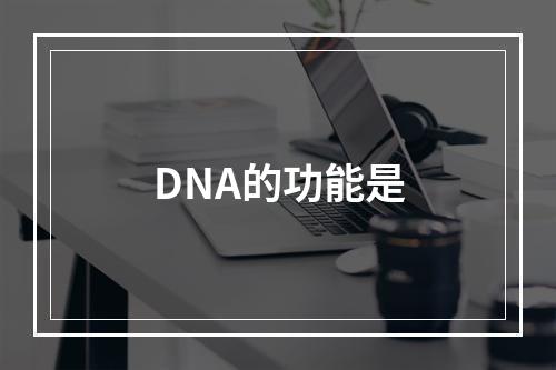 DNA的功能是