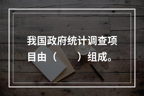 我国政府统计调查项目由（　　）组成。