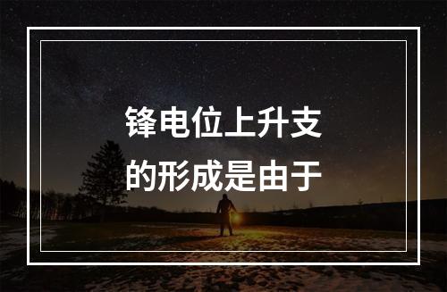 锋电位上升支的形成是由于