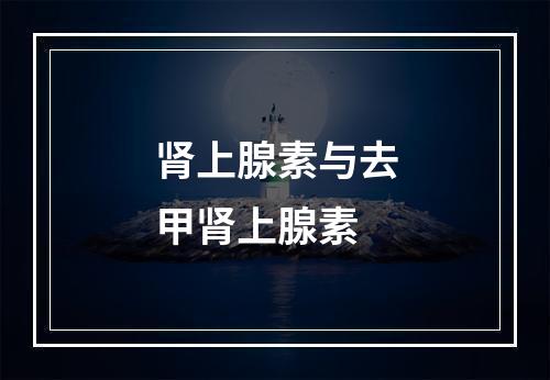 肾上腺素与去甲肾上腺素