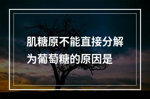 肌糖原不能直接分解为葡萄糖的原因是