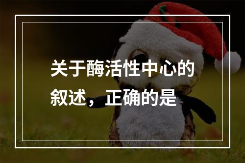 关于酶活性中心的叙述，正确的是