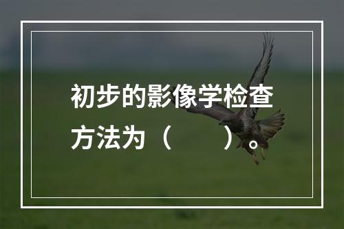 初步的影像学检查方法为（　　）。