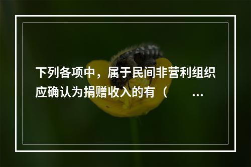 下列各项中，属于民间非营利组织应确认为捐赠收入的有（　　）。