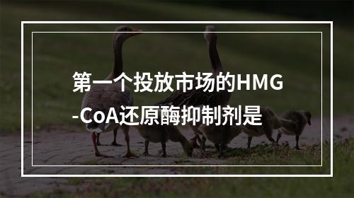 第一个投放市场的HMG-CoA还原酶抑制剂是