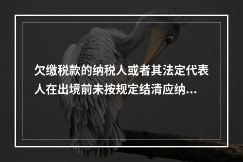 欠缴税款的纳税人或者其法定代表人在出境前未按规定结清应纳税款