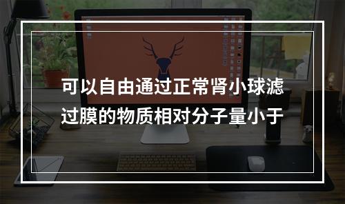 可以自由通过正常肾小球滤过膜的物质相对分子量小于