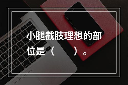 小腿截肢理想的部位是（　　）。