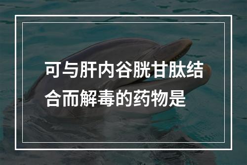 可与肝内谷胱甘肽结合而解毒的药物是