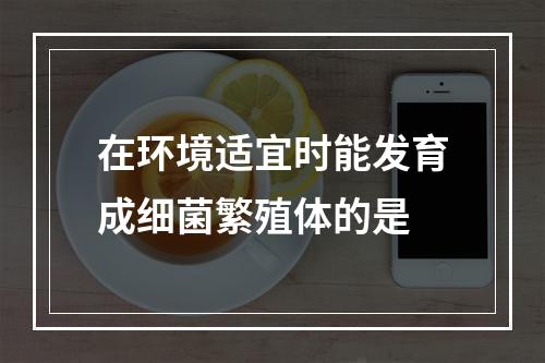 在环境适宜时能发育成细菌繁殖体的是