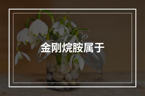 金刚烷胺属于