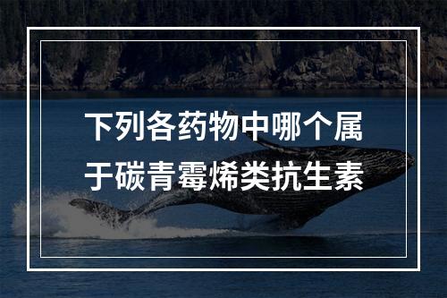 下列各药物中哪个属于碳青霉烯类抗生素