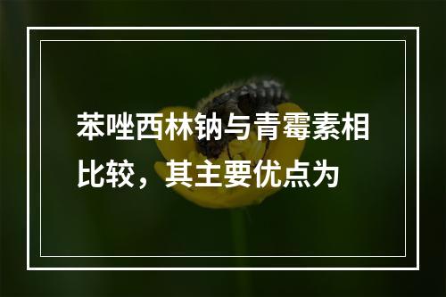 苯唑西林钠与青霉素相比较，其主要优点为