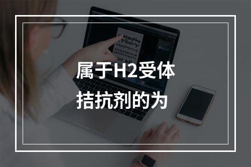 属于H2受体拮抗剂的为