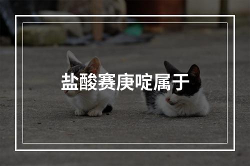 盐酸赛庚啶属于