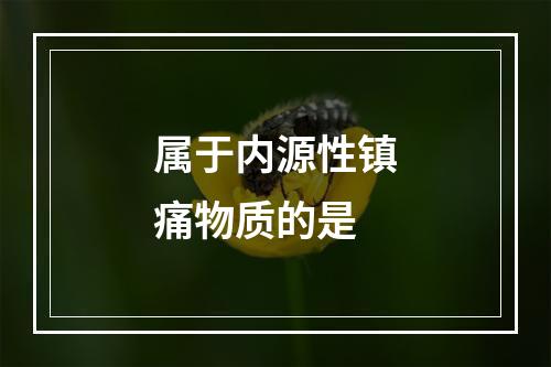 属于内源性镇痛物质的是