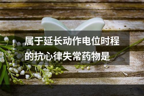 属于延长动作电位时程的抗心律失常药物是