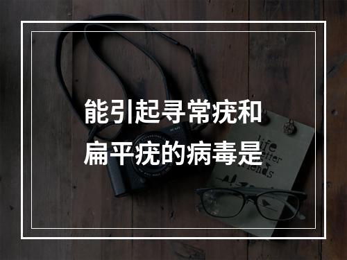 能引起寻常疣和扁平疣的病毒是