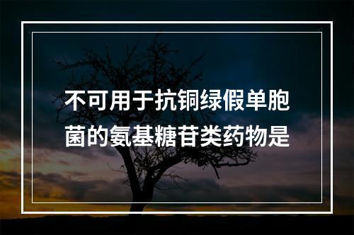 不可用于抗铜绿假单胞菌的氨基糖苷类药物是