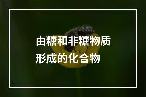 由糖和非糖物质形成的化合物