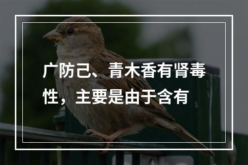 广防己、青木香有肾毒性，主要是由于含有