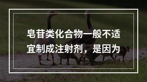 皂苷类化合物一般不适宜制成注射剂，是因为