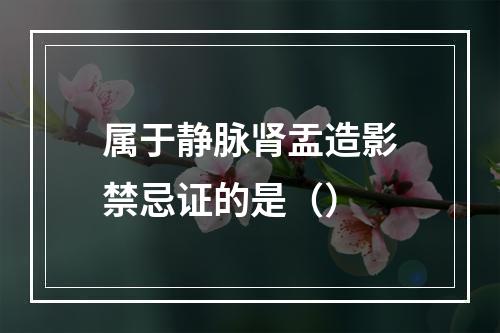 属于静脉肾盂造影禁忌证的是（）