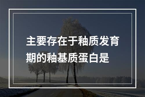 主要存在于釉质发育期的釉基质蛋白是