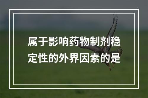 属于影响药物制剂稳定性的外界因素的是