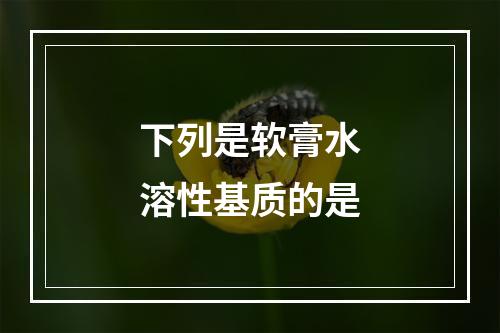 下列是软膏水溶性基质的是