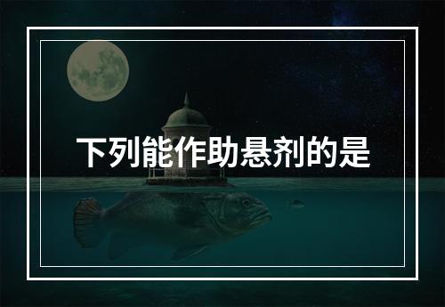 下列能作助悬剂的是