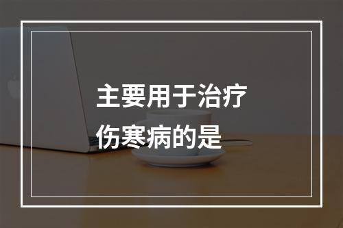 主要用于治疗伤寒病的是