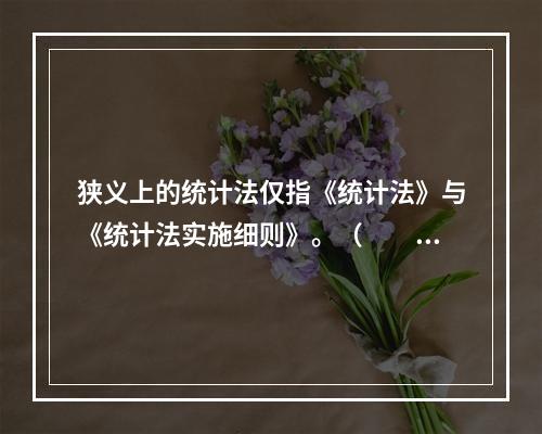 狭义上的统计法仅指《统计法》与《统计法实施细则》。（　　）