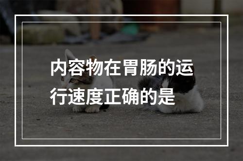 内容物在胃肠的运行速度正确的是