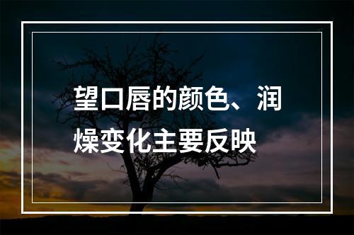 望口唇的颜色、润燥变化主要反映