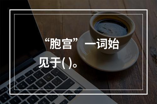 “胞宫”一词始见于( )。