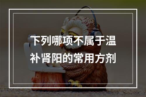 下列哪项不属于温补肾阳的常用方剂