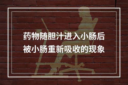 药物随胆汁进入小肠后被小肠重新吸收的现象