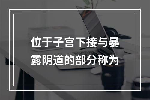 位于子宫下接与暴露阴道的部分称为