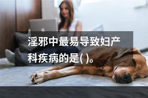 淫邪中最易导致妇产科疾病的是( )。