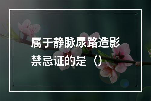 属于静脉尿路造影禁忌证的是（）