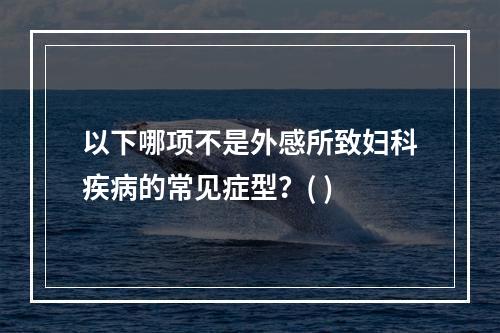 以下哪项不是外感所致妇科疾病的常见症型？( )