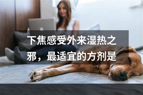 下焦感受外来湿热之邪，最适宜的方剂是