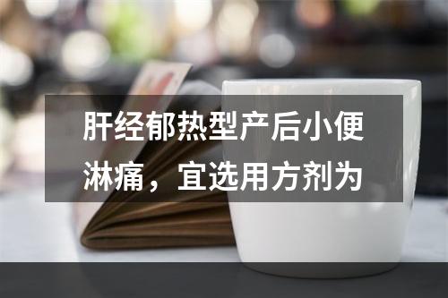 肝经郁热型产后小便淋痛，宜选用方剂为